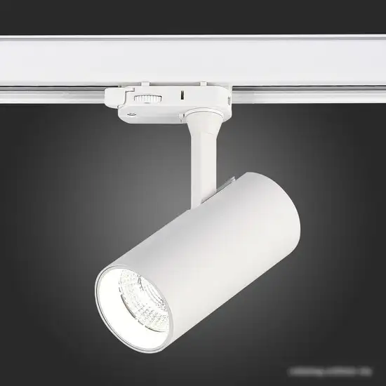 Трековый светильник ST Luce ST661.546.10 – фото товара