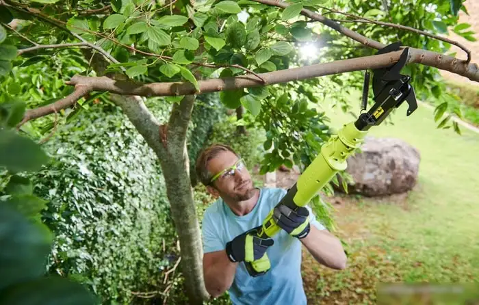 Секатор Ryobi OLP1832BX (без АКБ) – фото товара