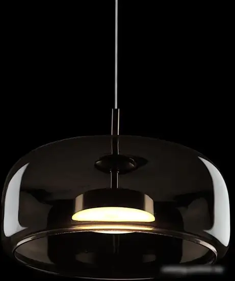 Подвесная люстра LOFT IT Dauphin 10040B – фото товара