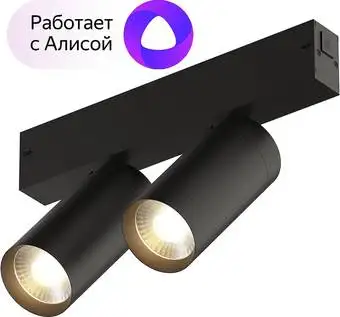 Трековый светильник Denkirs Smart DK8012-BK – изображение в каталоге