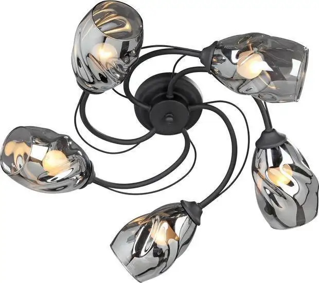 Припотолочная люстра Vitaluce V4937-1/5PL – фото товара