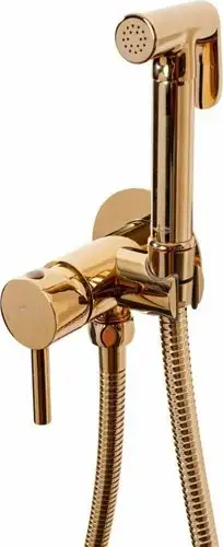 Гигиенический душ Hansberge H3099 (золото глянец) - изображение в каталоге