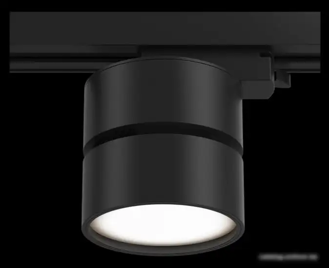 Трековый светильник Maytoni TR007-1-12W4K-B – фото товара