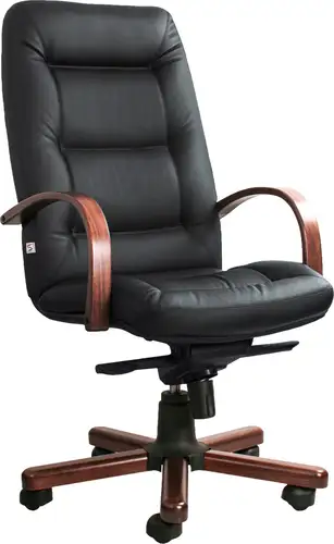 Кресло Белс Senator Extra A SP 400290-75/SPA (натуральная кожа, черный)