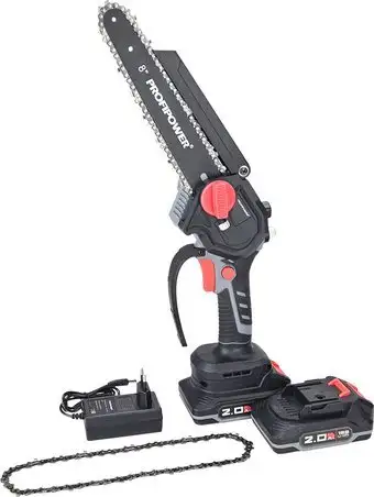 Profipower MKGSH-18V (с 2-мя АКБ)