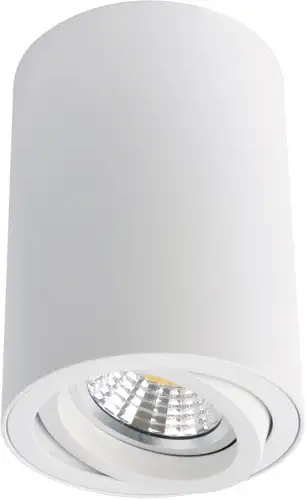 Точечный светильник Arte Lamp Sentry A1560PL-1WH – изображение в каталоге