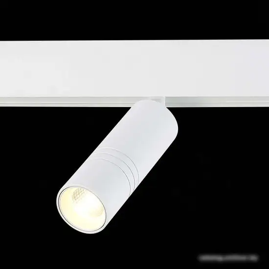 Трековый светильник ST Luce Lemmi ST365.536.12
