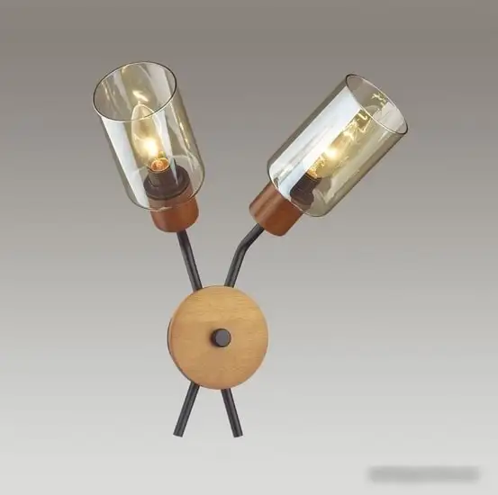 Бра Lumion Fern 4492/2W – фото товара