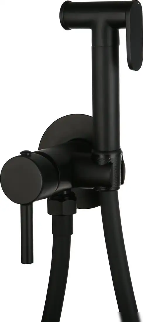 Гигиенический душ Roxen Santi 500940-B - фото товара