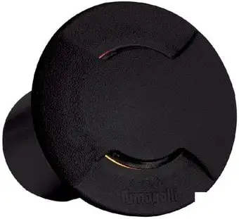 Тротуарный встраиваемый светильник Fumagalli Ceci 2F2.000.000.AXG1L – изображение в каталоге