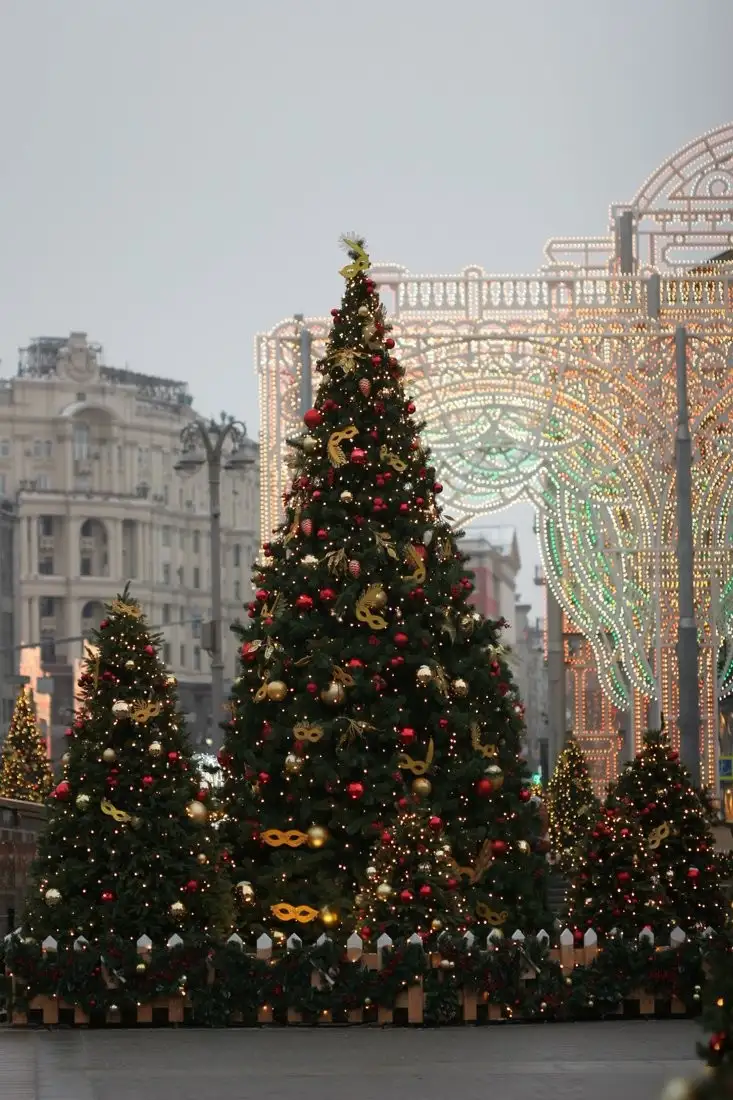 Ель GreenTerra Клеопатра 5 м – фото товара