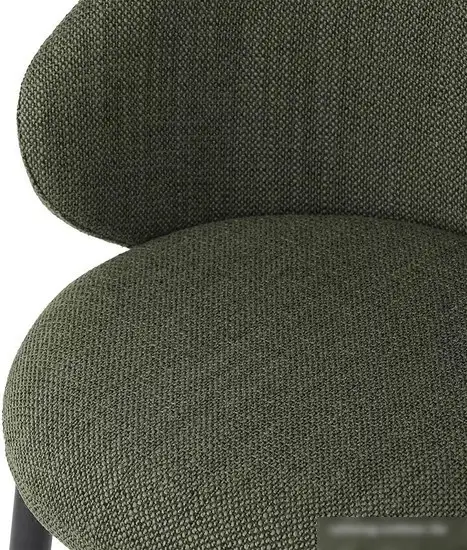 Стул с подлокотниками Bergenson Bjorn Comfy BB0000682 (шпинат) – фото товара