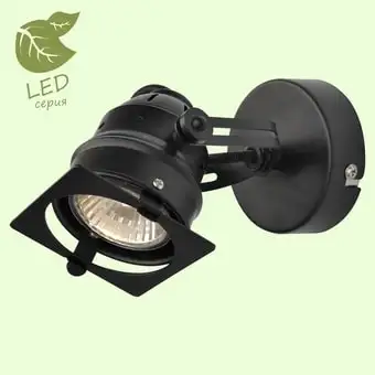 Спот Lussole LOFT GRLSP-9118 – изображение в каталоге