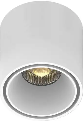 Спот Aployt Magnetic Track 48 APL.0109.10.06 – изображение в каталоге