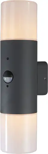 Уличный настенный светильник Escada 534/2A E27*60W Dark grey – изображение в каталоге