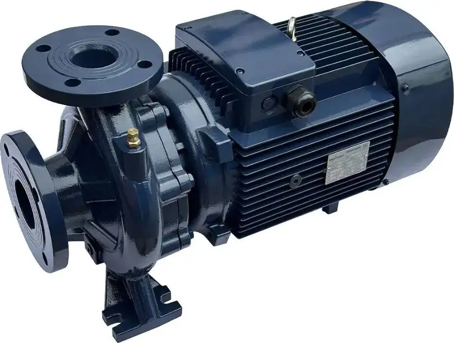 Циркуляционный насос Maxpump F 65-250/220 - фото товара