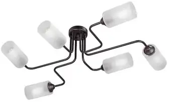 Припотолочная люстра Vitaluce V4310-1/6PL – изображение в каталоге