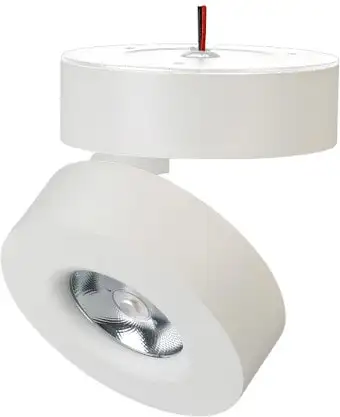 Спот Arlight SP-MONA-SURFACE-R100-12W Warm3000 025440(1) – изображение в каталоге