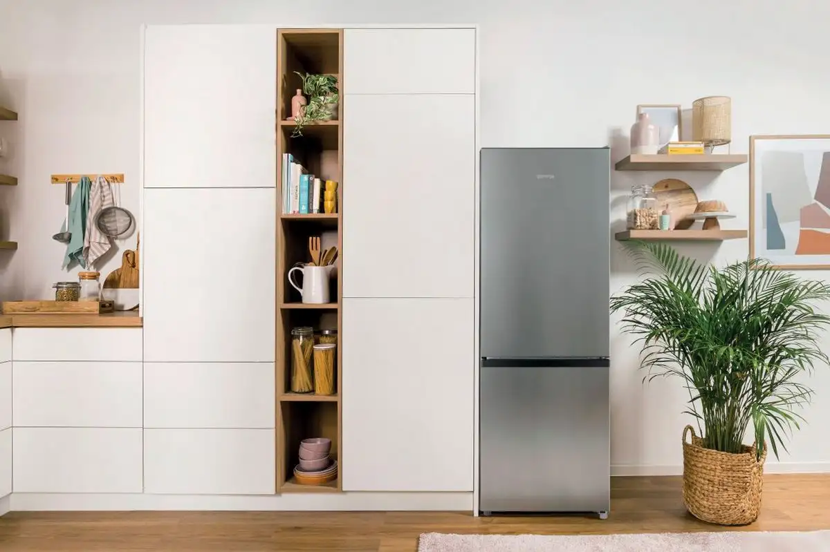 Холодильник Gorenje RK14EPS4 - фото товара