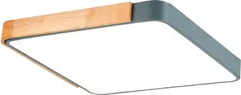 Светильник-тарелка Evoluce Festa SLE201272-01 – изображение в каталоге