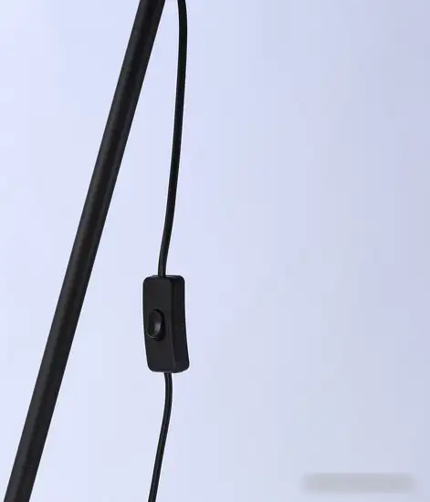 Торшер Ambrella Traditional TR97618 – фото товара