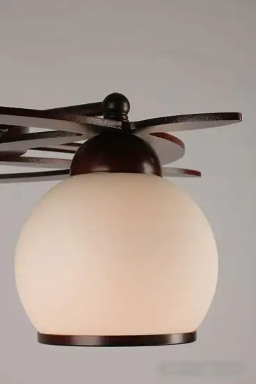 Люстра Omnilux OML-50507-05 – фото товара