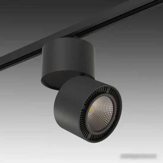 Трековый светильник Lightstar Forte Muro A1T213837 – фото товара
