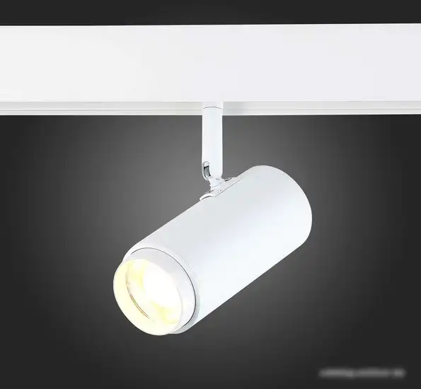 Светильник ST Luce Ziro ST357.546.06 – фото товара