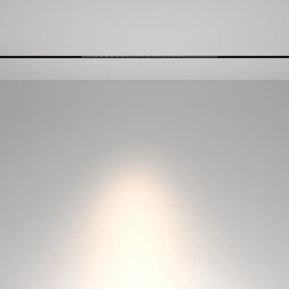 Трековый светильник Maytoni TR232-2-15W4K-B – фото товара