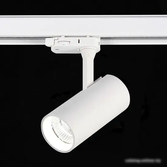 Трековый светильник ST Luce ST661.546.10 – фото товара