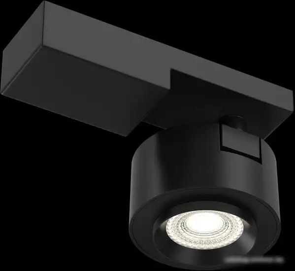 Точечный светильник Maytoni Treo C062CL-L12B3K – фото товара