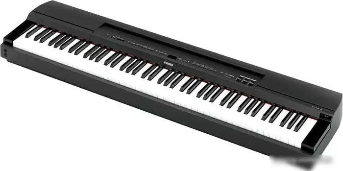 Цифровое пианино Yamaha P-255 (черный) – фото товара
