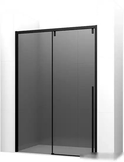 Душевая дверь Ambassador Intense 160x200 110022205IBB - фото товара