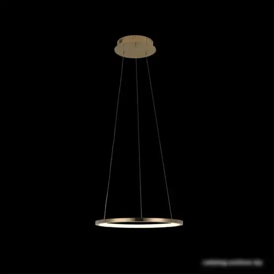 Подвесная люстра LOFT IT Ring 10014S – фото товара