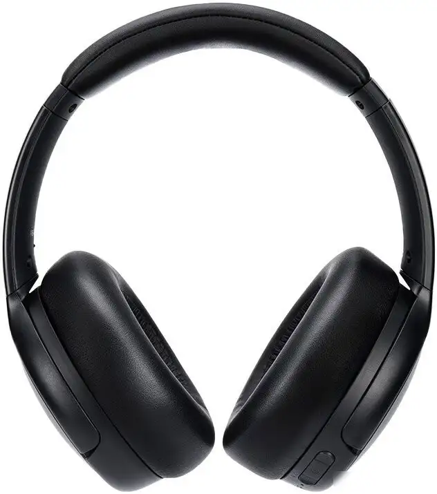 Наушники Panasonic RB-M600BG-K – фото товара