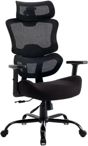 Офисное кресло Evolution ZenFoam Black (черный) – изображение в каталоге