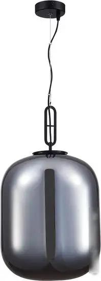 Подвесная люстра ST Luce Burasca SL1050.713.01 – фото товара