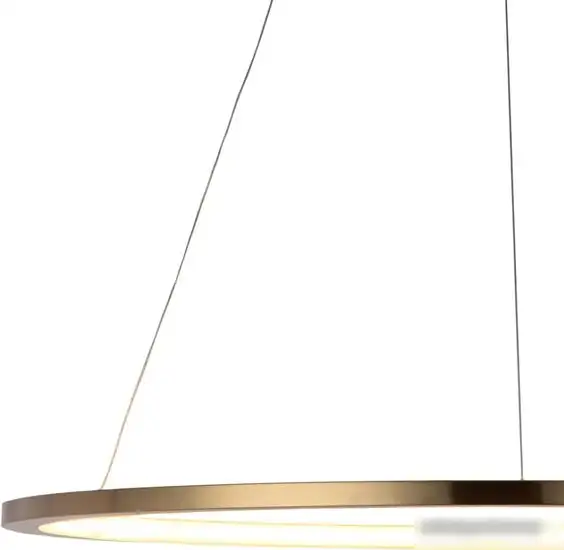 Подвесная люстра LOFT IT Ring 10014L – фото товара