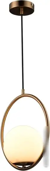 Подвесная люстра LOFT IT Glob LOFT2600-A – фото товара