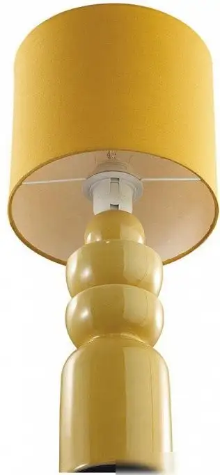 Настольная лампа Lumion Segi 8130/1T – фото товара