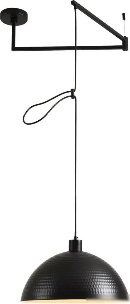 Подвесная люстра Lumion Armina 8321/1C – фото товара