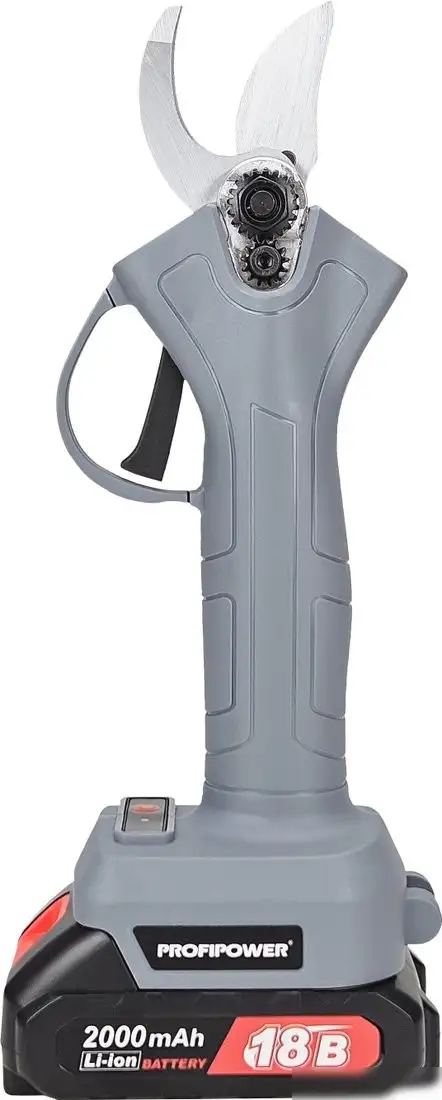 Profipower MKGSP-18V (с 2-мя АКБ, кейс) – фото товара
