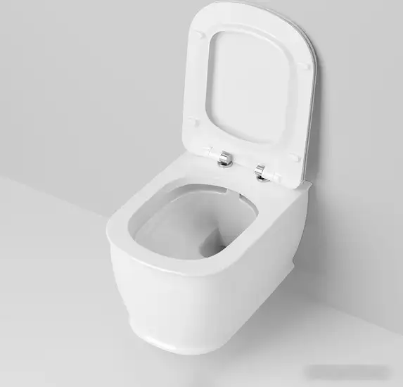 Унитаз подвесной Ambassador Royal 263K19002RS - фото товара