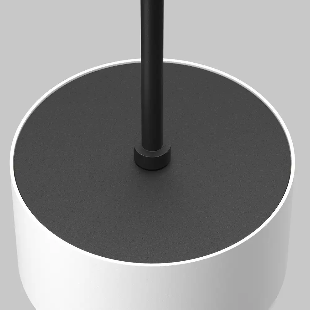 Подвесная люстра Maytoni Pendant P102PL-12W3K-W – фото товара