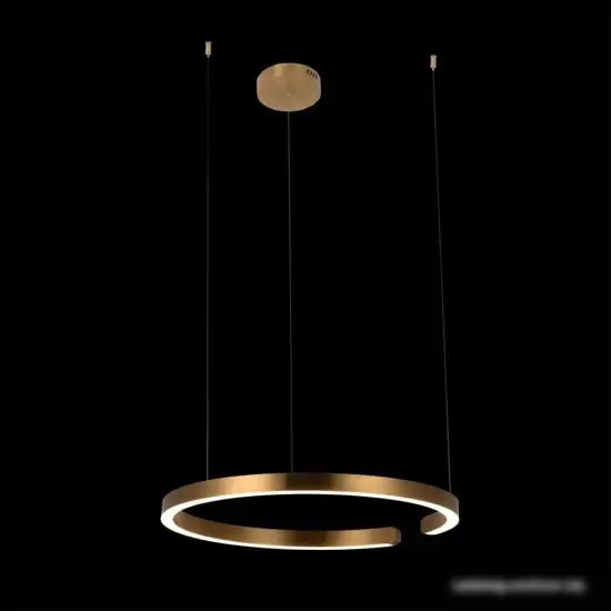 Подвесная люстра LOFT IT Ring 10013L – фото товара