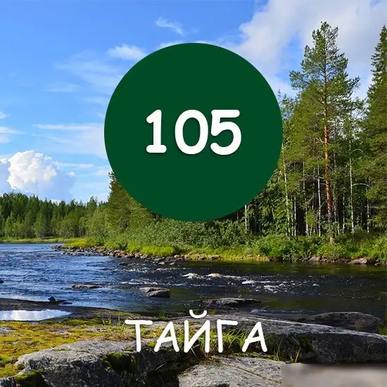 Краска Super Decor Maxima резиновая 11 кг (105 Тайга) – фото товара