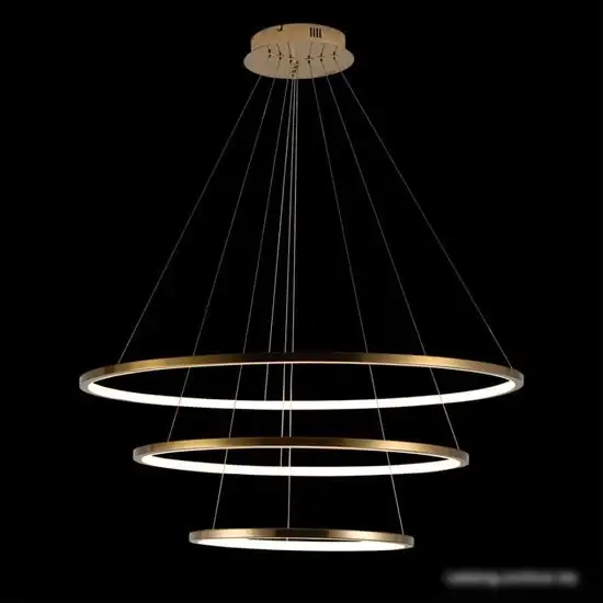 Подвесная люстра LOFT IT Ring 10015/3 – фото товара
