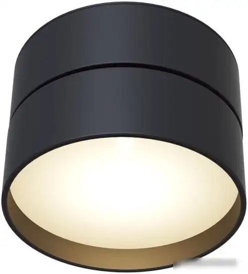 Спот Maytoni Onda C024CL-L18B4K – фото товара