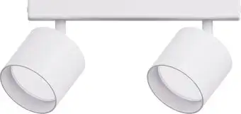 Спот TruEnergy 21381 – изображение в каталоге