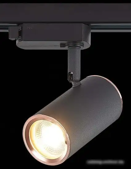 Трековый светильник ST Luce Cromi ST301.426.01 – фото товара